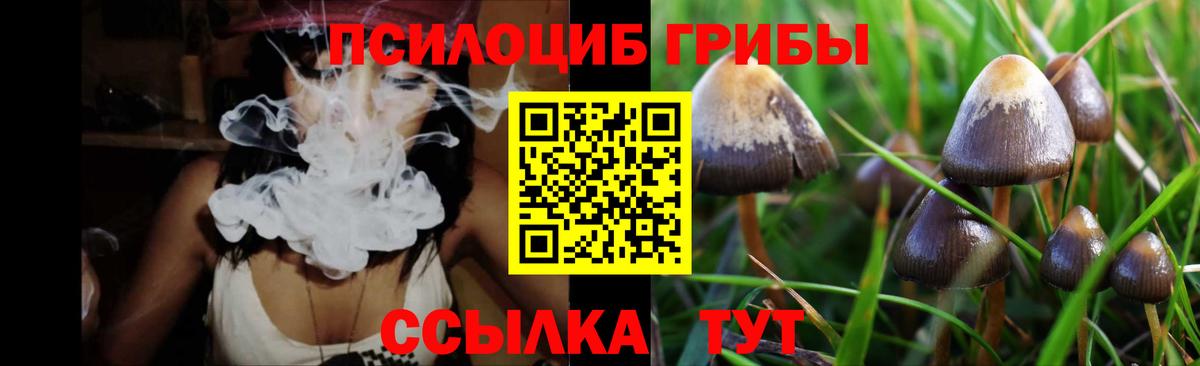 Галлюциногенные грибы MAGIC MUSHROOMS Звенигород